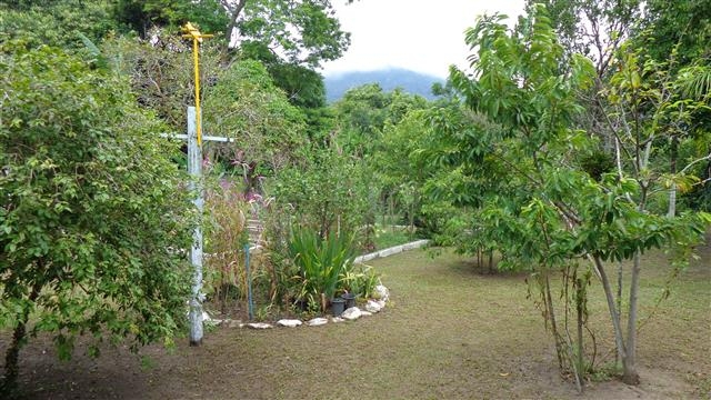 Fazenda à venda com 3 quartos, 1350m² - Foto 7