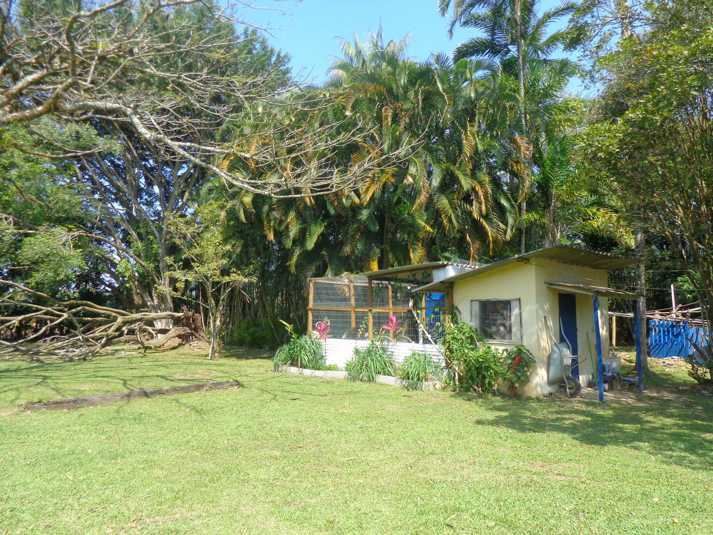 Fazenda à venda com 2 quartos, 5m² - Foto 10