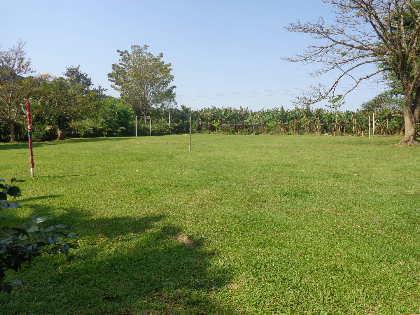 Fazenda à venda com 2 quartos, 5m² - Foto 11